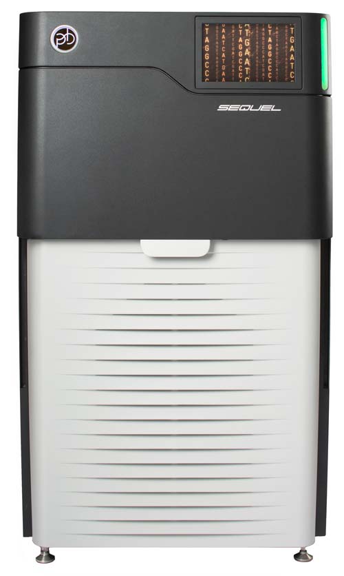 PacBio Sequel